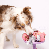 Tulli 5 Cake Smash