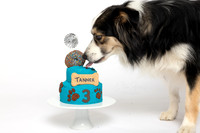Tanner 3 Cake Smash