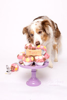 Tulli 5 Cake Smash