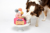 Tahni 7 Cake Smash
