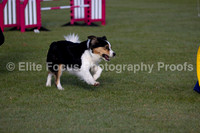 Stratford Sunday 30-04-23 Agility Jump