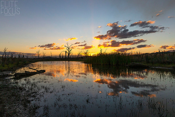 Winton Wetllands-4308