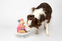Tahni 7 Cake Smash