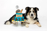 Tanner 3 Cake Smash