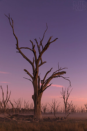 Winton Wetlands 3