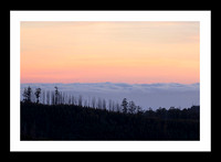 Tarra Bulga Sunset