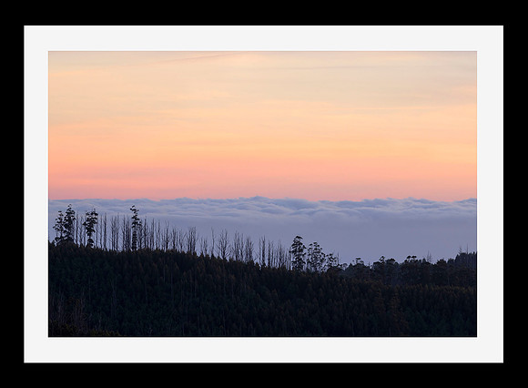 Tarra Bulga Sunset