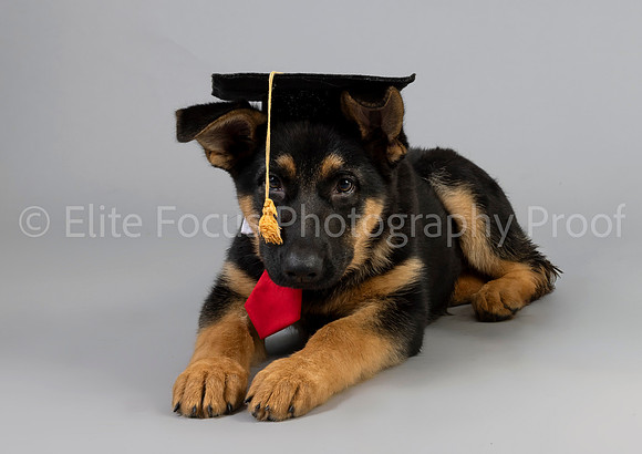 CDDOC-3595crop