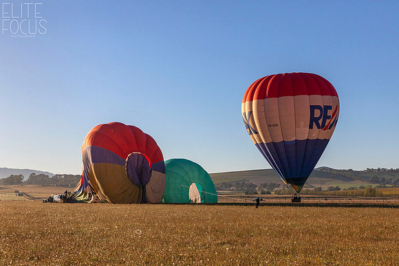 Balloon Flight -3068