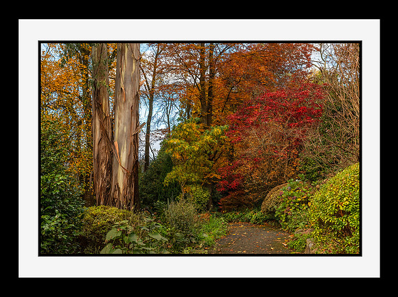 George Tindale Autumn