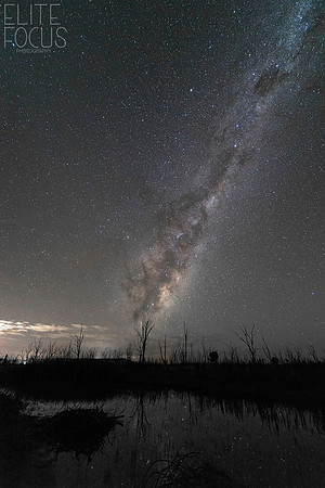 Winton Wetllands-4634