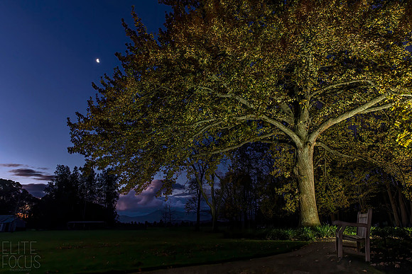 Yarra Valley Twilight