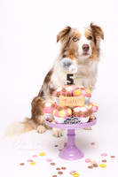 Tulli 5 Cake Smash
