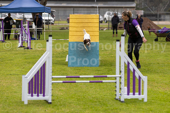 _M3A5595