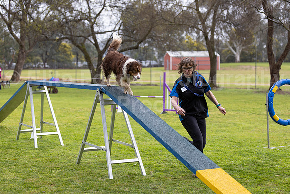 _M3A5740