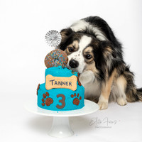 Tanner 3 Cake Smash