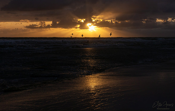 Point-Londsdale