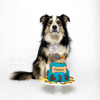 Tanner 3 Cake Smash