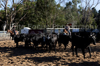 WGQHA Cutting Group-1328