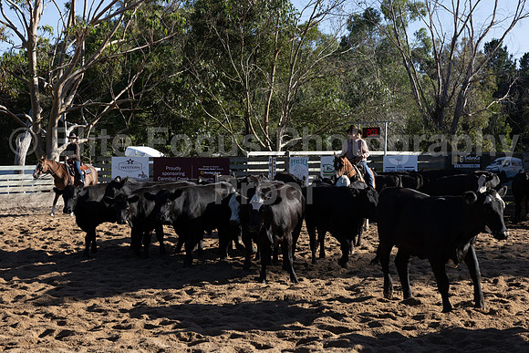 WGQHA Cutting Group-1328