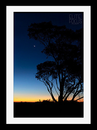 Sunset with Moonrise