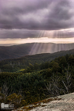 Yarra Ranges