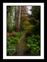 George Tindale Gardens