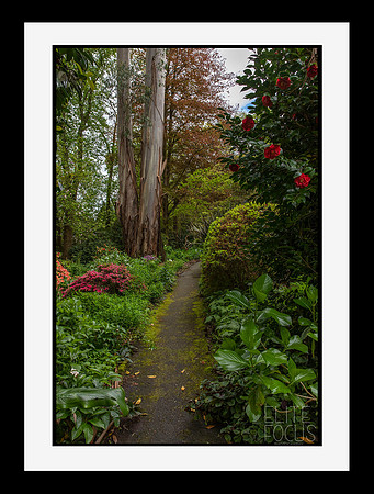George Tindale Gardens
