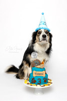 Tanner 3 Cake Smash