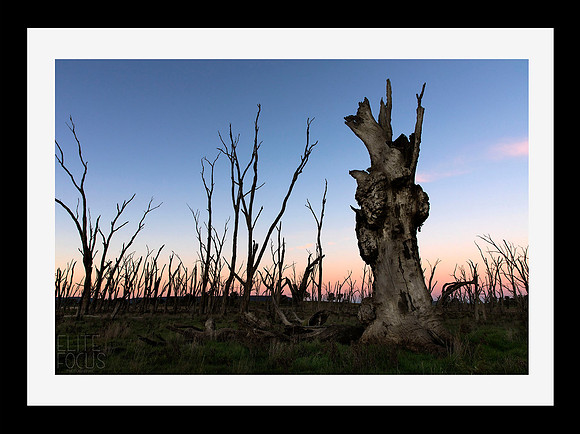 Winton on dusk