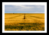 Frame Golden Wheat
