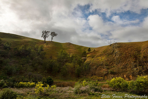 Swifts Creek