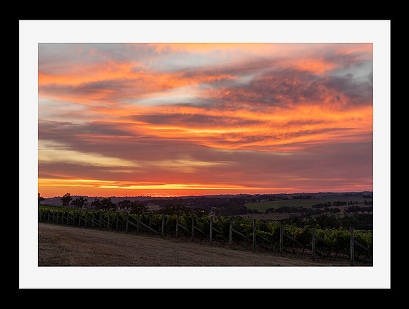 Yarra Valley Sunset