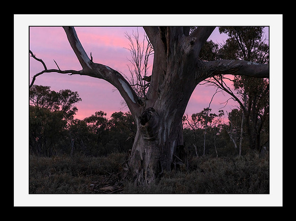 Country Sunset