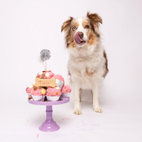 Tulli 5 Cake Smash