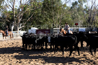 WGQHA Cutting Group-1329