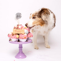 Tulli 5 Cake Smash