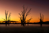 Winton Wetlands