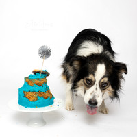 Tanner 3 Cake Smash