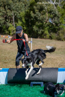 Adventure Dog Animal Aid