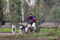 Husky Racing
