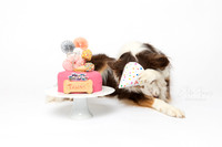 Tahni 7 Cake Smash