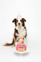 Tahni 7 Cake Smash